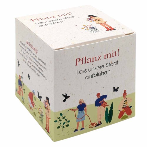Cube Seed Planting Kit (large) - Oxeye daisy Cube Seed Planting Kit (large) - Oxeye daisy