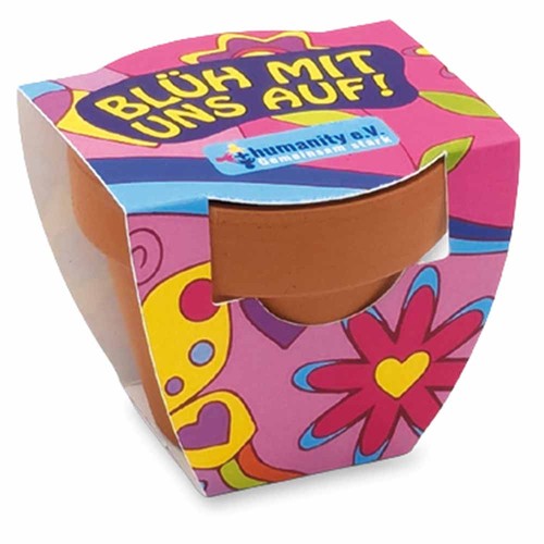 Small terracotta plant pots - Basil Small terracotta plant pots - Basil