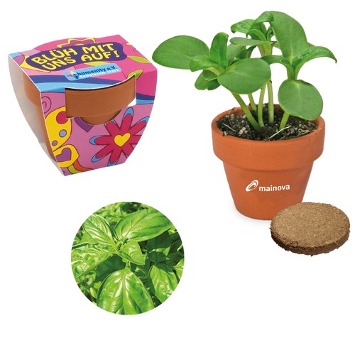 Small terracotta plant pots - Basil Small terracotta plant pots - Basil