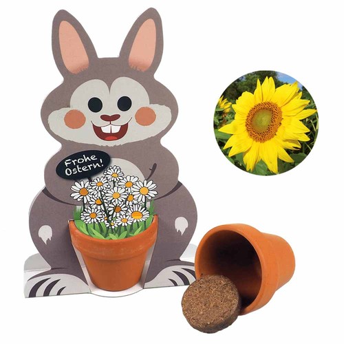 Master Hare Easter Bunnies - seed set - Sunflower