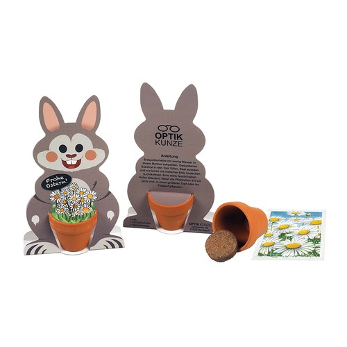 Master Hare Easter Bunnies - seed set - Sunflower Master Hare Easter Bunnies - seed set - Sunflower