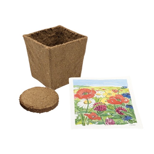 Cube Seed Planting Kit (small) - Forget-me-not Cube Seed Planting Kit (small) - Forget-me-not