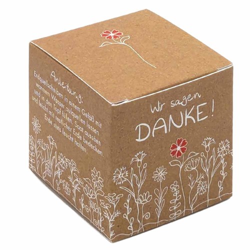 Cube Seed Planting Kit (small) - Forget-me-not Cube Seed Planting Kit (small) - Forget-me-not