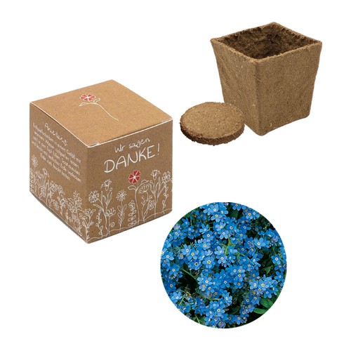 Cube Seed Planting Kit (small) - Forget-me-not