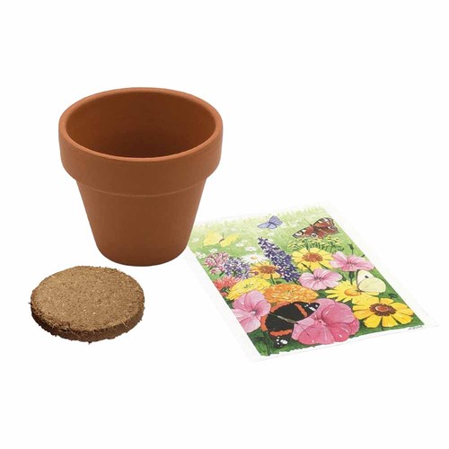 Small terracotta plant pots - Meadow clover Small terracotta plant pots - Meadow clover