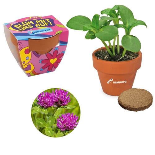Small terracotta plant pots - Meadow clover Small terracotta plant pots - Meadow clover