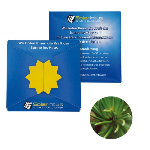 Closure – Star Seed Card - Norway spruce
