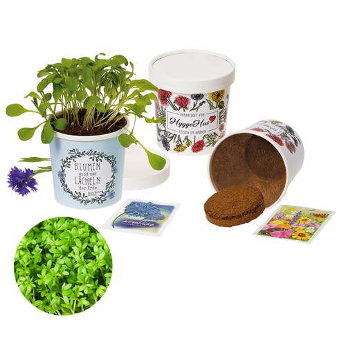 Cup-Flower - seed set - Cress