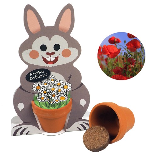 Master Hare Easter Bunnies - seed set - Poppy