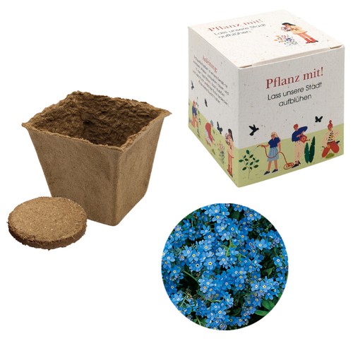 Cube Seed Planting Kit (large) - Forget-me-not
