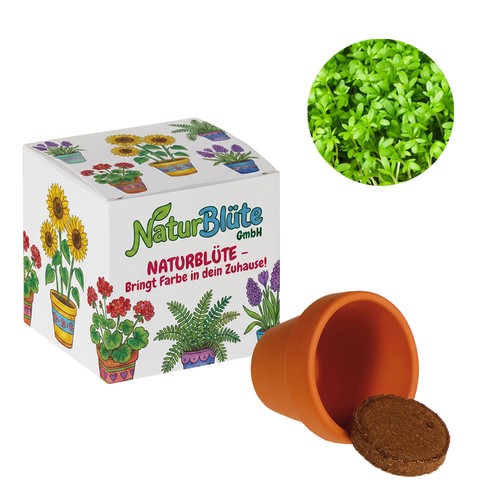 Promotional Seed Cube (white paper) - Cress