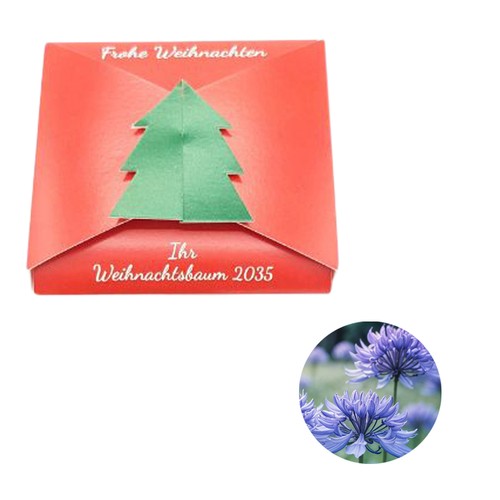 Closure – Fir Tree Seed Card - Cornflower