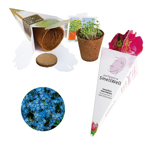 Magic bag - seed set - Forget-me-not