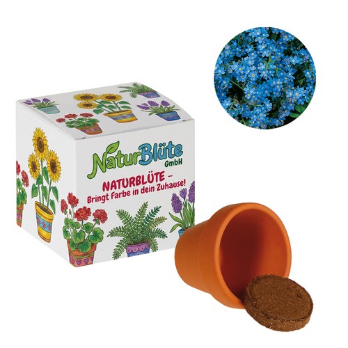 Promotional Seed Cube (white paper) - Forget-me-not