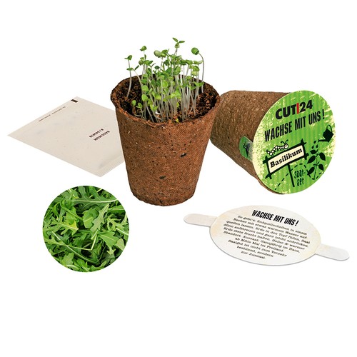 Herb Pot Seed Set - Arugula