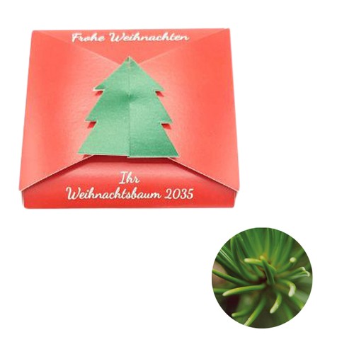 Closure – Fir Tree Seed Card - Norway spruce