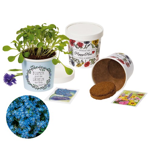 Cup-Flower - seed set - Forget-me-not