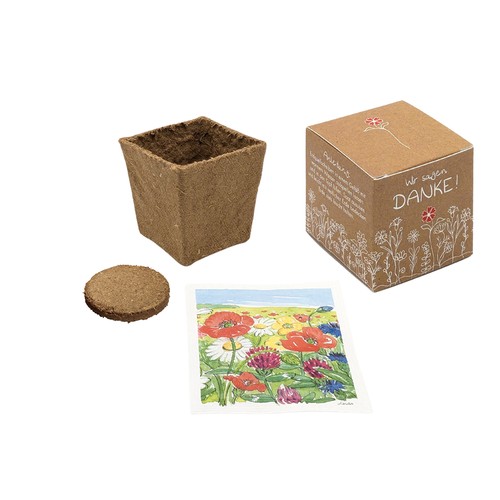 Cube Seed Planting Kit (small) - Cornflower Cube Seed Planting Kit (small) - Cornflower