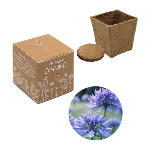 Cube Seed Planting Kit (small) - Cornflower