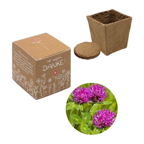 Cube Seed Planting Kit (small) - Meadow clover