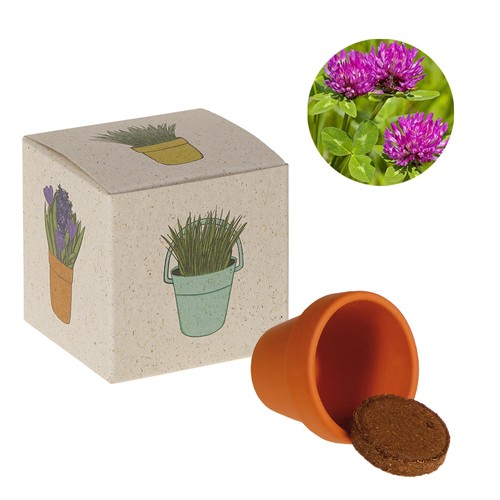 Promotional Seed Cube (grass paper) - Meadow clover