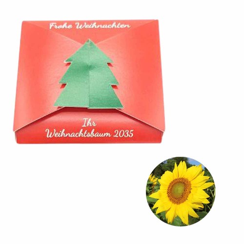 Closure – Fir Tree Seed Card - Sunflower