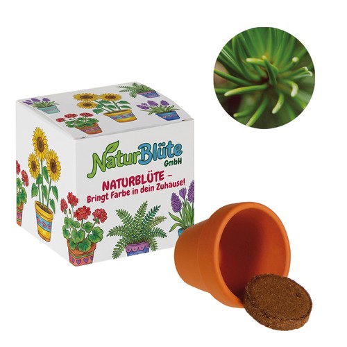 Promotional Seed Cube (white paper) - Norway spruce