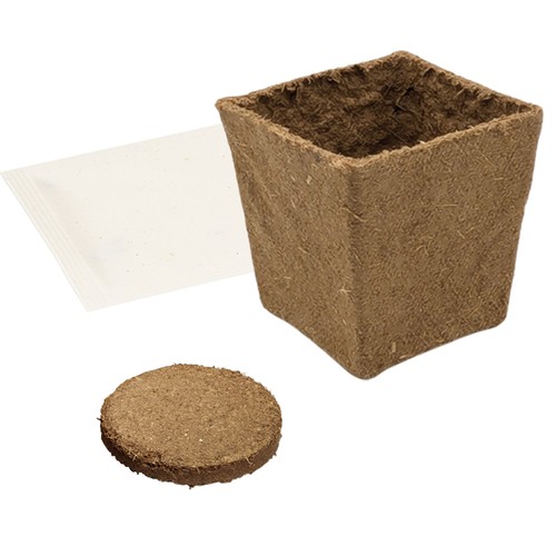 Vegetable Garden Seed Set (small) - Cress Vegetable Garden Seed Set (small) - Cress