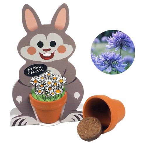 Master Hare Easter Bunnies - seed set - Cornflower