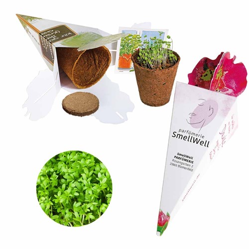 Magic bag - seed set - Cress
