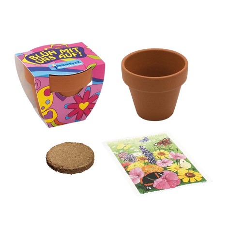 Small terracotta plant pots - Norway spruce Small terracotta plant pots - Norway spruce
