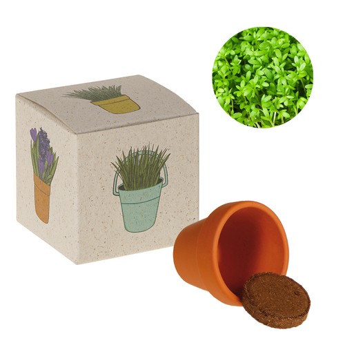 Promotional Seed Cube (grass paper) - Cress