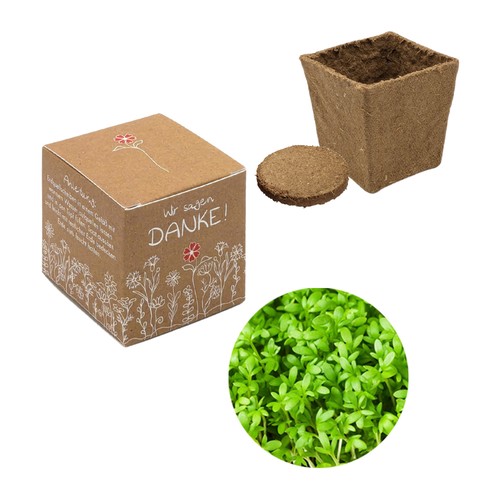 Cube Seed Planting Kit (small) - Cress