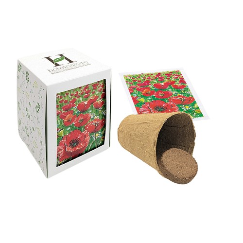 Passepartout Seed Planting Kit - Summer flower mix Passepartout Seed Planting Kit - Summer flower mix