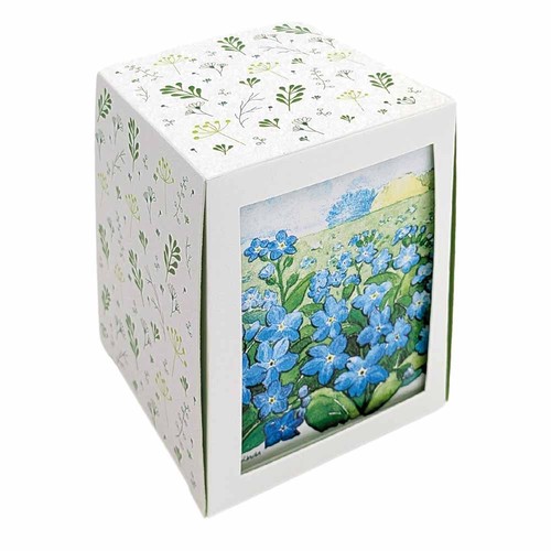Passepartout Seed Planting Kit - Summer flower mix Passepartout Seed Planting Kit - Summer flower mix