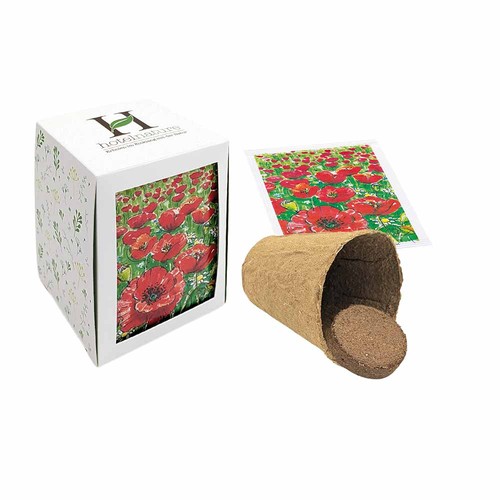 Passepartout Seed Planting Kit - Summer flower mix Passepartout Seed Planting Kit - Summer flower mix