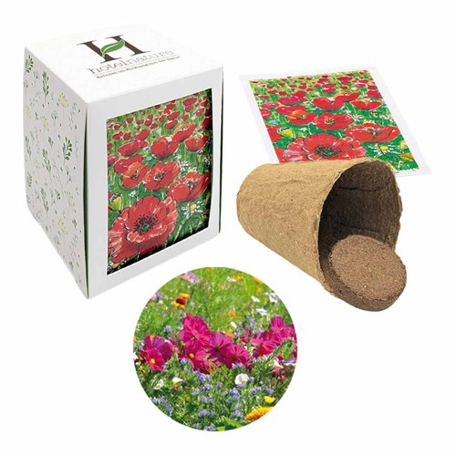 Passepartout Seed Planting Kit - Summer flower mix