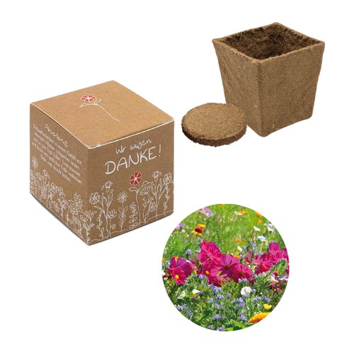 Cube Seed Planting Kit (small) - Summer flower mix