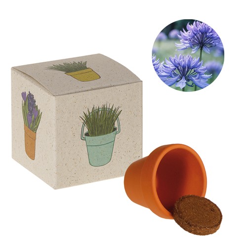 Promotional Seed Cube (grass paper) - Cornflower