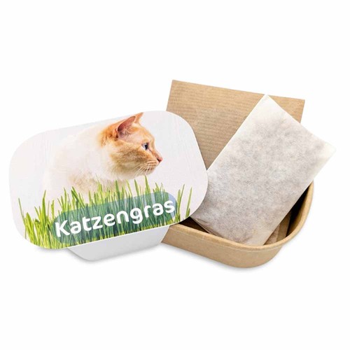 Cat grass planting kit - Cat grass Cat grass planting kit - Cat grass