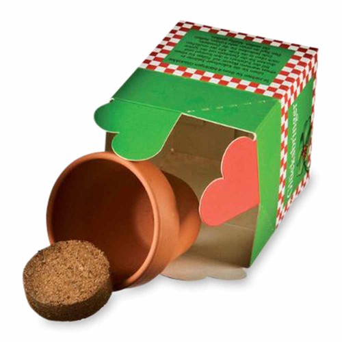 Happiness in a Box - Planting Kit - Four-leaf clover Happiness in a Box - Planting Kit - Four-leaf clover