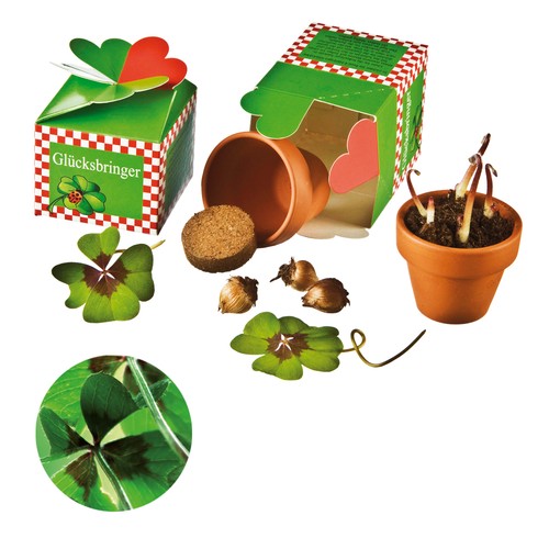 Happiness in a Box - Planting Kit - Four-leaf clover
