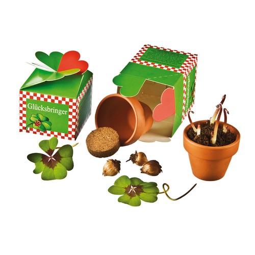 Happiness in a Box - Planting Kit - Four-leaf clover Happiness in a Box - Planting Kit - Four-leaf clover