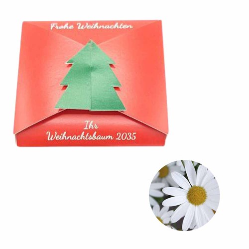 Closure – Fir Tree Seed Card - Oxeye daisy