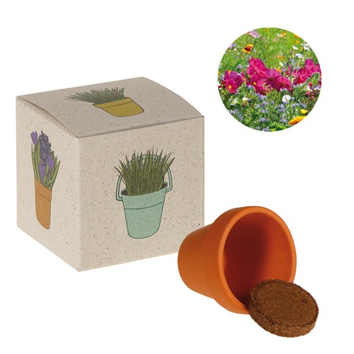 Promotional Seed Cube (grass paper) - Summer flower mix