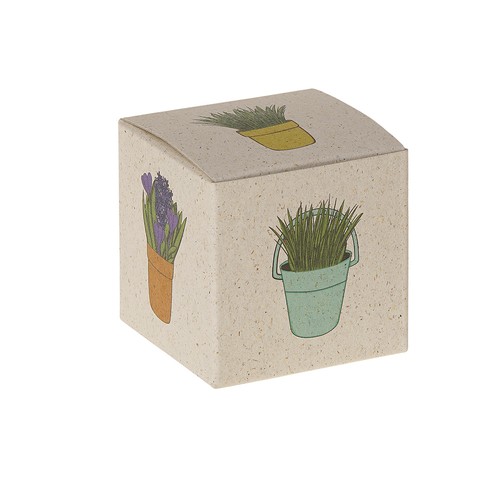 Promotional Seed Cube (grass paper) - Summer flower mix Promotional Seed Cube (grass paper) - Summer flower mix