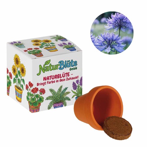 Promotional Seed Cube (white paper) - Cornflower