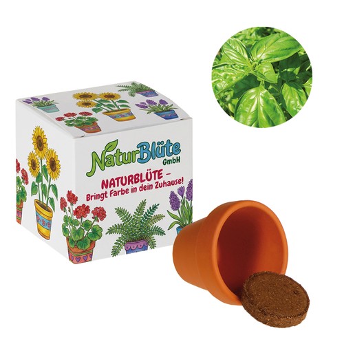 Promotional Seed Cube (white paper) - Basil