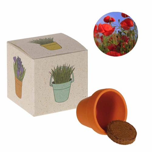 Promotional Seed Cube (grass paper) - Poppy