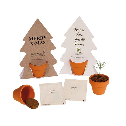 Tiny Tree - Assembly Kit - Norway spruce